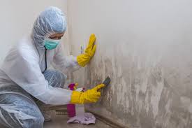 Best Real Estate Mold Inspection  in Egan, LA